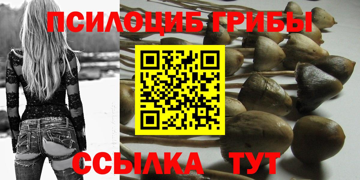 Галлюциногенные грибы Magic Shrooms Нурлат