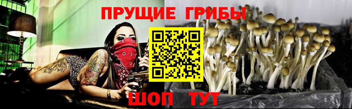 Нурлат  Галлюциногенные грибы мицелий  Вход с VPN 